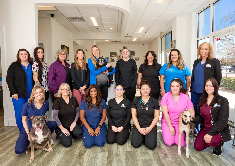 Group photo of the Bay Beach Veterinary Emergency Hospital team