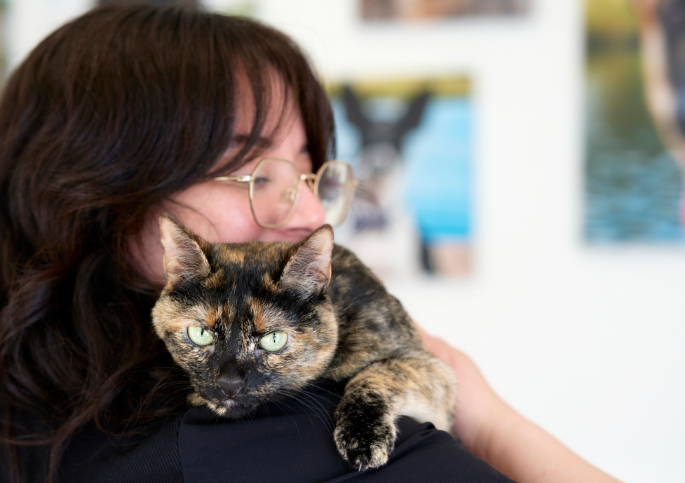 Vet tech holding cat