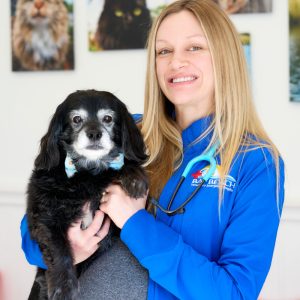 Dr.-Gleysteen