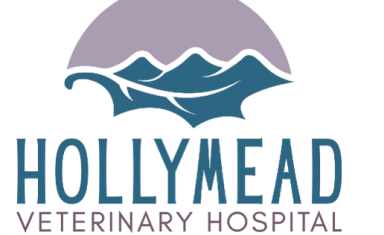 Logo_holly